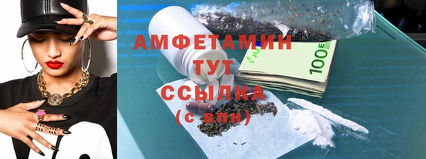 гидра Карпинск