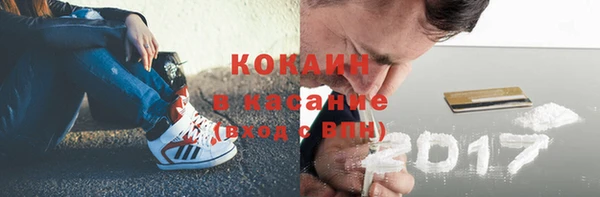 гидра Карпинск