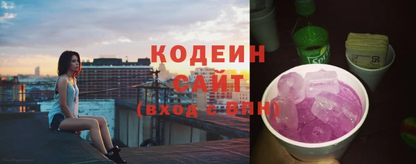 гидра Карпинск