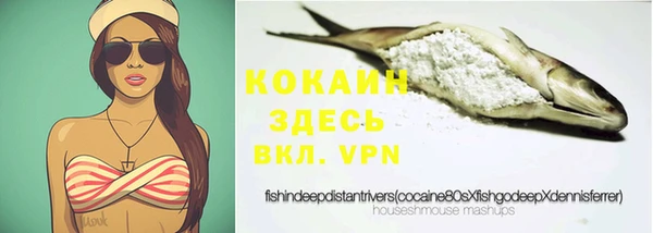 спайс Касимов