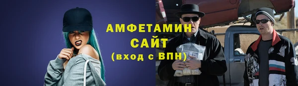 гидра Карпинск