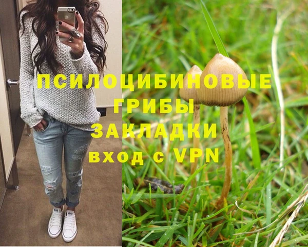 спайс Касимов