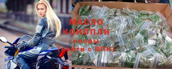 гидра Карпинск