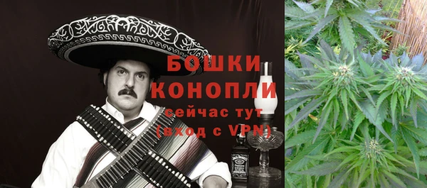 спайс Касимов