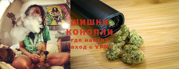 гидра Карпинск