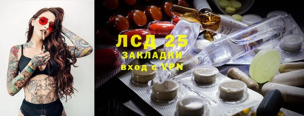 гидра Карпинск