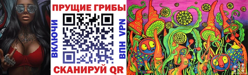 Галлюциногенные грибы GOLDEN TEACHER  Купить  Новоузенск 